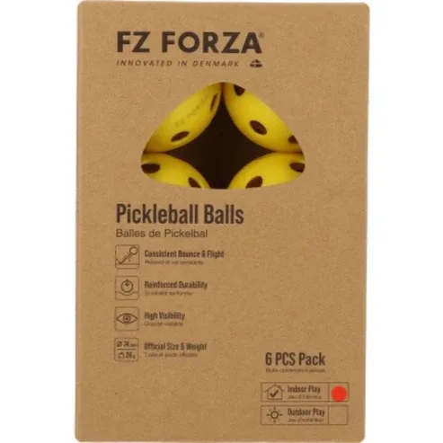 FZ_Pickball Indoor(6-Pack) E