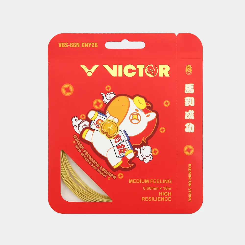 球拍禮盒ARS-HS PLUS CNY26 GB D | VICTOR 勝利體育