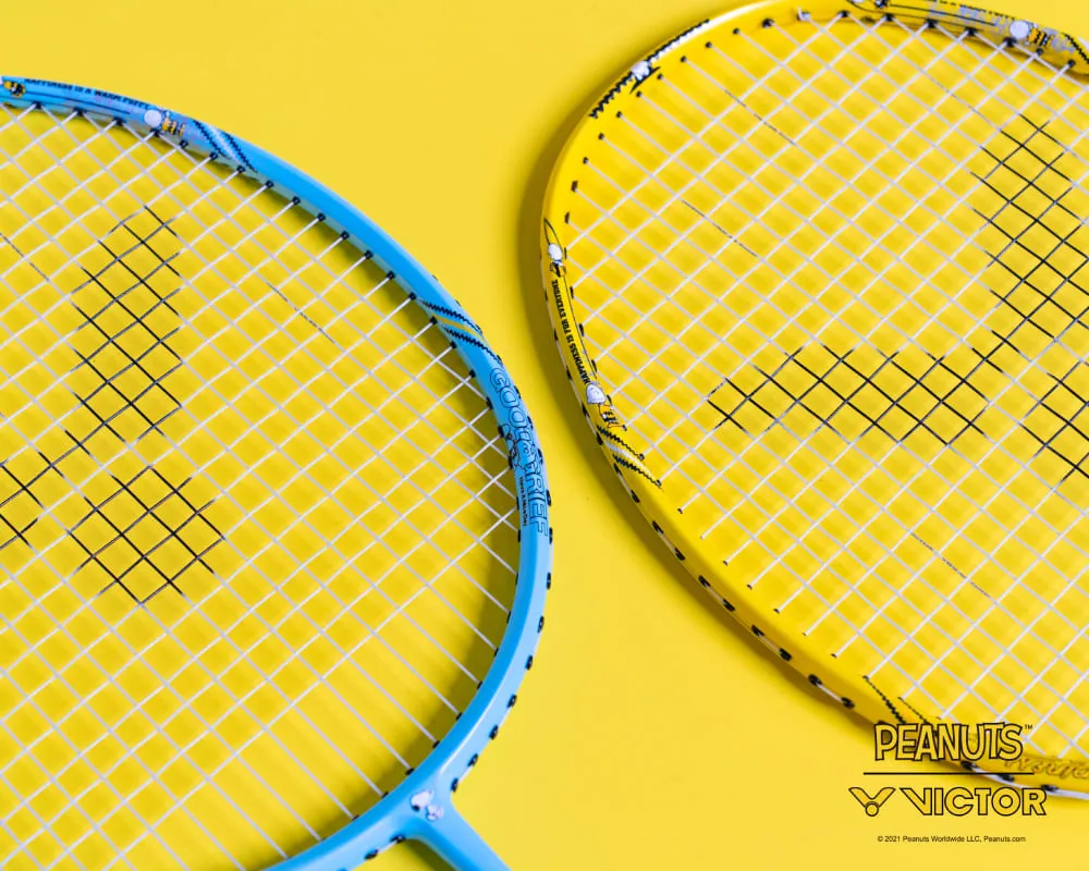 The frame is decorated with Charlie Brown's catchp...