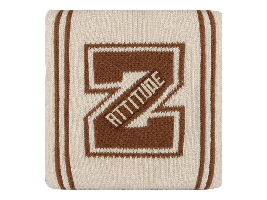 VICTOR x LZJ Sports Wristbands SP4510LZJ V