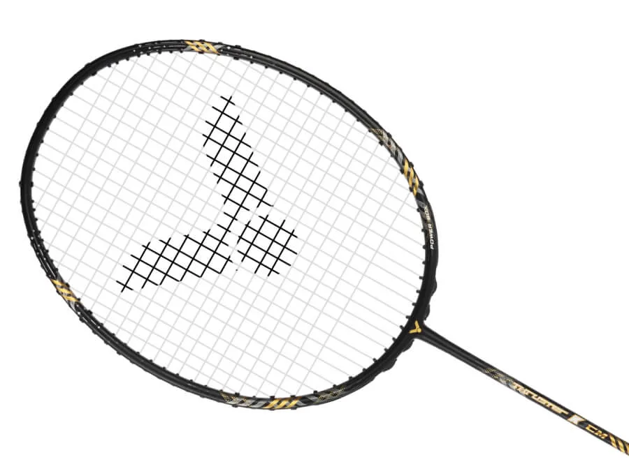 龍聖 10尺 群馬県 明和町 マンホールカード 投稿詳細｜MOTOCLE